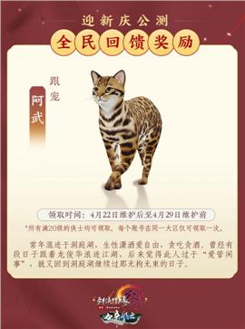 襄阳天龙八部私服